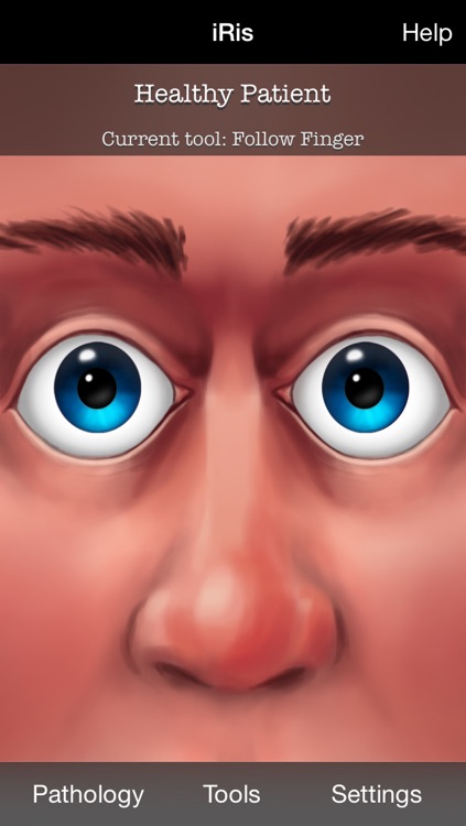 iRis Interactive