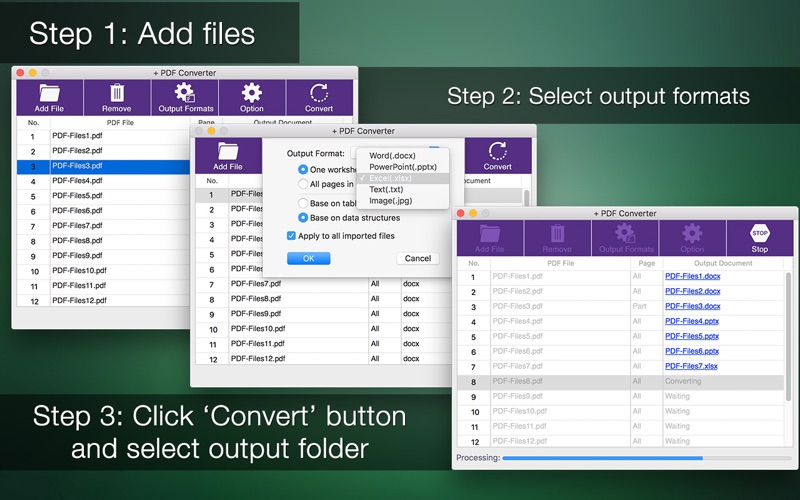 + PDF Converter thumbnail 2