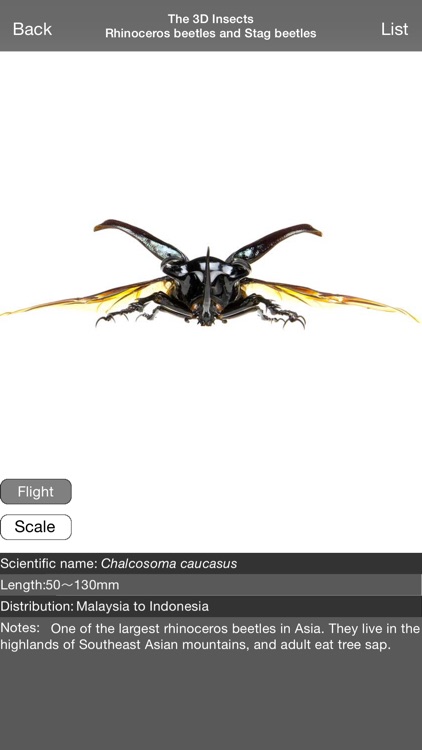 The 3D Insects I screenshot-3