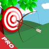 Super Archer Mania HD PRO