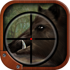 Activities of Boar Hunting Sniper Game with Real Riffle Adventure Simulation FPS Games FREE