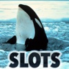 Happy Killer Whale Slots - FREE Las Vegas Casino Premium Edition