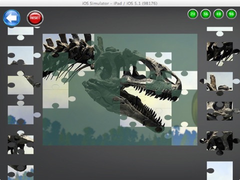Dinosaur Puzzles 2015 screenshot 3