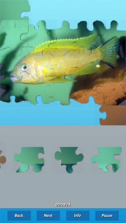 Fish Puzzles screenshot-4