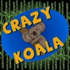 Crazy Koala