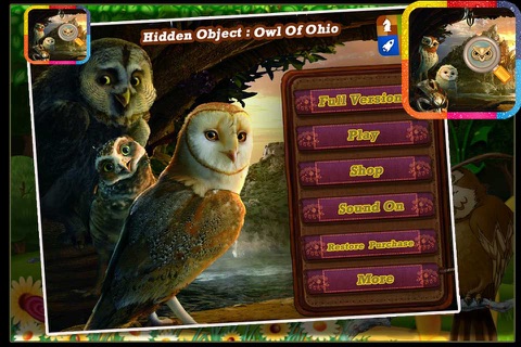 Hidden Object : Owl Of Ohio screenshot 2