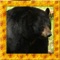 Black Bear Simulator 3D