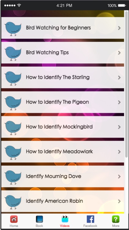 Bird Watching for Beginner - How To Be A Good Birdwatcher