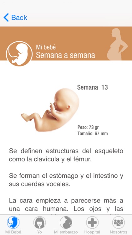 YO Embarazo Ribera Salud