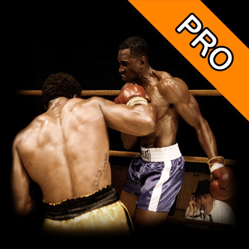 3D Street Boxing Simulator 2 Pro icon