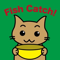 Activities of Thoroughly Fish Catch