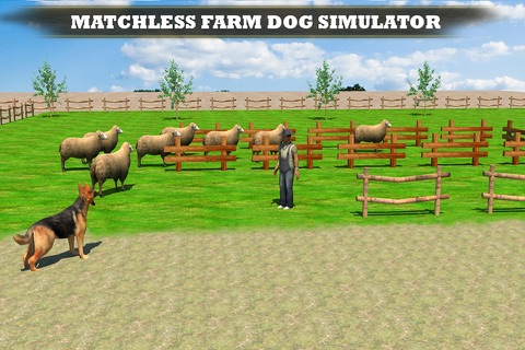 Farm Dog vs Stray Sheep screenshot 3