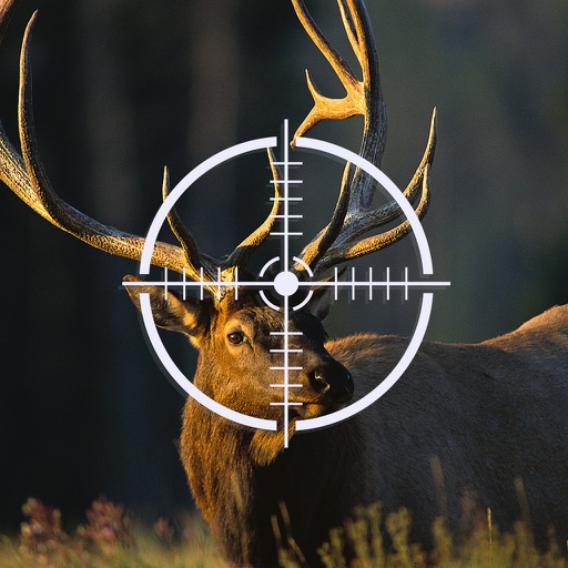 Hunting in the world icon