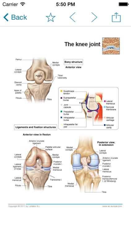 Miniatlas Joint Diseases