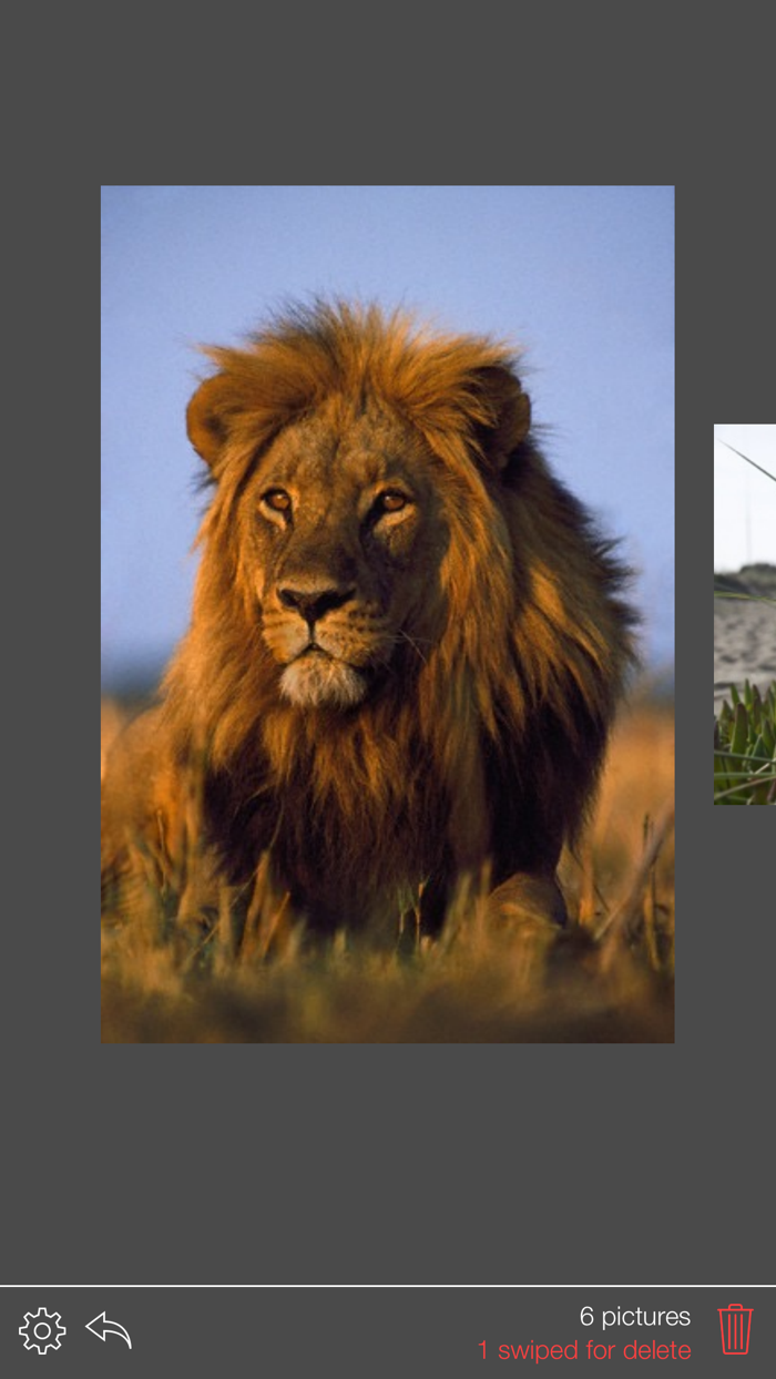 PicSwipe - The Camera Roll Cleaner