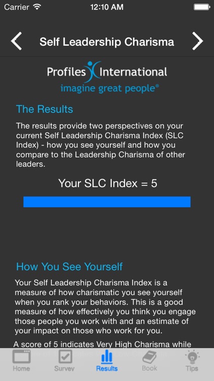 Leadership Charisma Assessment - Leadership Development