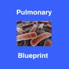 Pulmonary Blueprint PANCE/PANRE Review