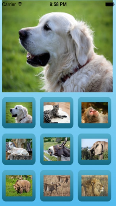 【图】动物音效（哺乳动物哭）(截图2)