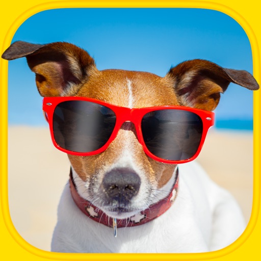 Funny Animals Puzzles - Logic Game for Toddlers, Preschool Kids, Little Boys and Girls iOS App