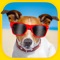 Funny Animals Puzzles - Logic Game for Toddlers, Preschool Kids, Little Boys and Girls