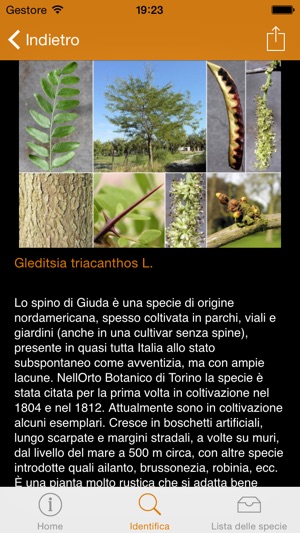 Conoscere e riconoscere gli alberi dell’Orto Botanico di Tor(圖4)-速報App