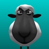 Baad Sheep