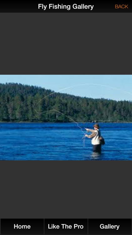 Fly Fishing Pro - All About Fly Fishing Tips, Fishing Knots, Bass Fishing