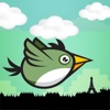 Flap Wings - Bird Paris