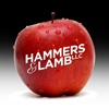 Hammers & Lamb, LLC