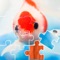 Fish Puzzles is a puzzle game where you can find amazing jigsaw puzzles with detailed info and great photos