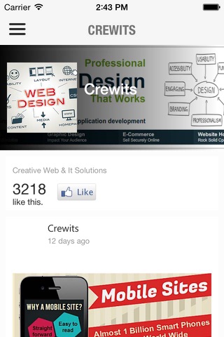 Crewits - Web & IT Company screenshot 3