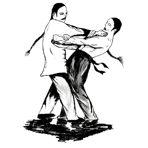 wing chun techniques chart