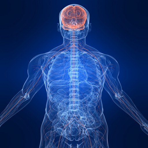 Human Body : Nervous System Trivia iOS App