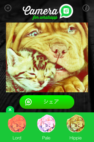 Camera for WhatsApp - Share amazing photos with your friends screenshot 3