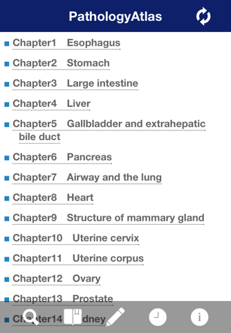 ATLAS OF PATHOLOGY And Comparison With Normal Anatomy screenshot 3