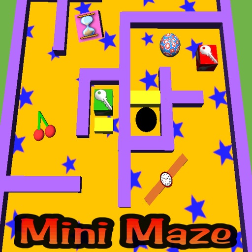 Mini Maze Pro iOS App