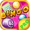 Bingo Ruby PRO - Play the Simple and Easy to Win Casino Card Game for FREE !