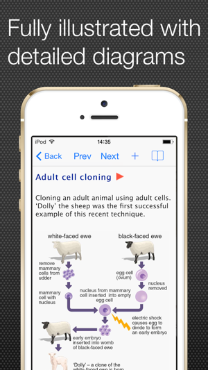 高中科學圖解詞典 Lite(圖3)-速報App