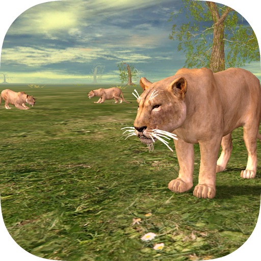 Lioness Simulator Pro Icon