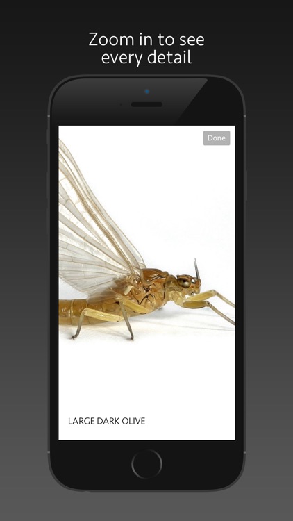 Match A Hatch Western U.S. screenshot-4