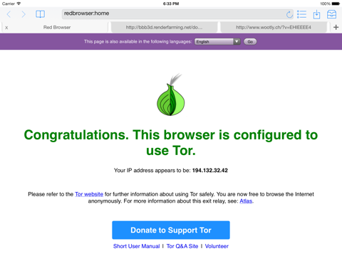 Red Onion - Tor-powered web browser for anonymous browsing and darknet screenshot