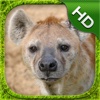 Hyena Simulator - HD