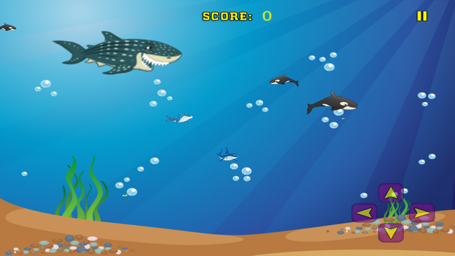 Shark Frenzy - Free(圖2)-速報App