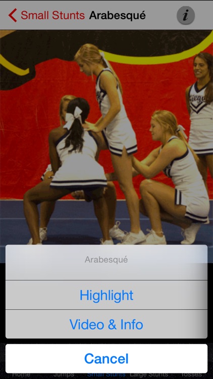 Cheerleading Stunts, Tosses, and Jumps!
