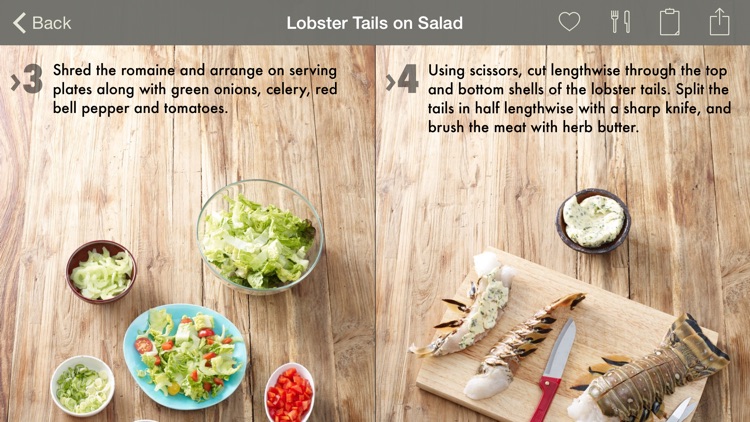 The Photo Cookbook – Barbecue Grilling screenshot-3