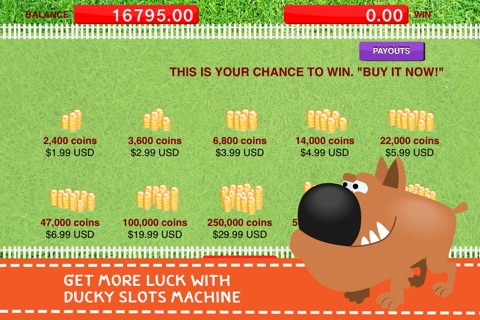 Amusing Doggies Dog - Keno Slot Machine PRO screenshot 3