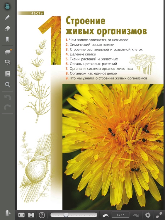 Электронные учебники ЛАНИТ