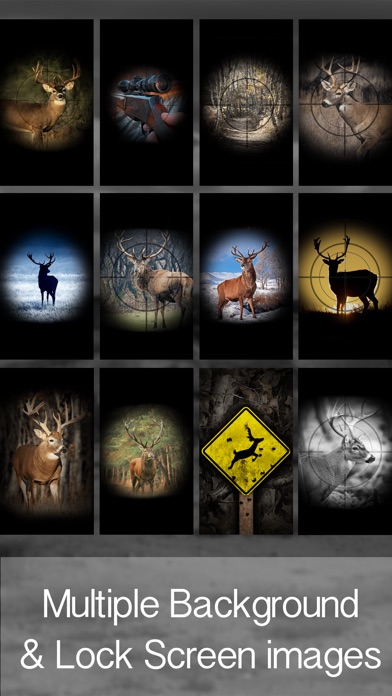 100 Deer Hunting Wallpapers  Wallpaperscom