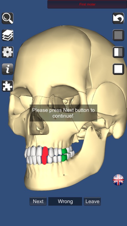 3D Bones and Organs (Anatomy) screenshot-4
