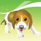 ColorDog is an all in one app , its a coloring app , a glimpse in the world of dogs , a quiz app and an audio library of almost all the animals in the world 